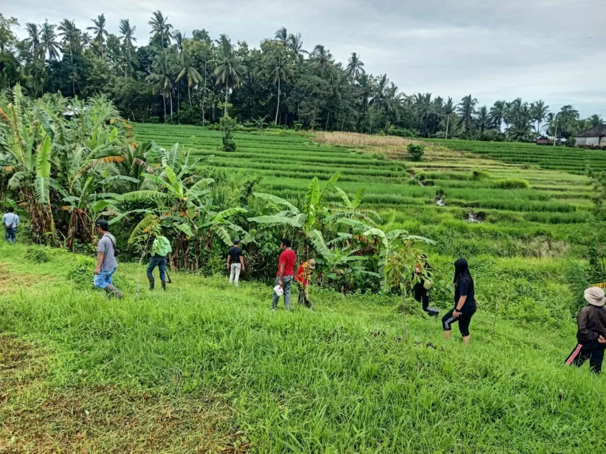 Kegiatan Pemupukan Tanaman Sebagai Upaya Meningkatkan Kesuburan Tanah